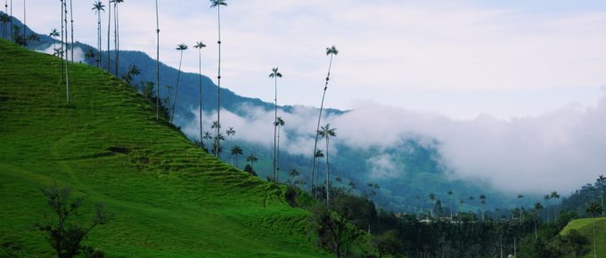 Cocora Valley (Salento, Colombia)